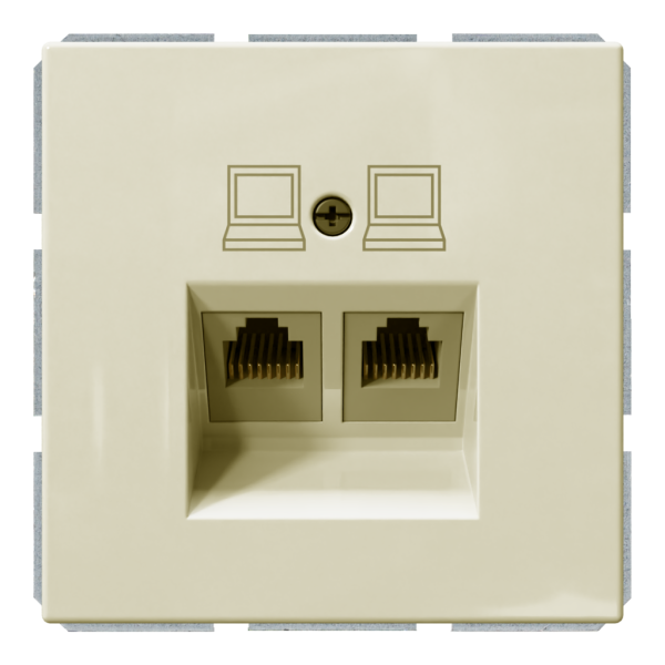 Розетка двойная компьютерная RJ45 cat 5 с накладкой - FD (сахара), артикул FD6106SH