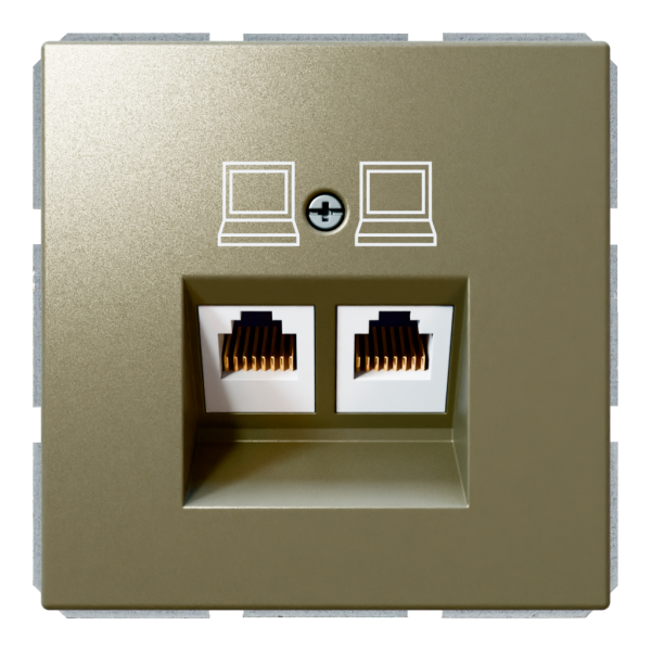 Розетка двойная компьютерная RJ45 cat 6 с накладкой - FD (бронза), артикул FD6108BR